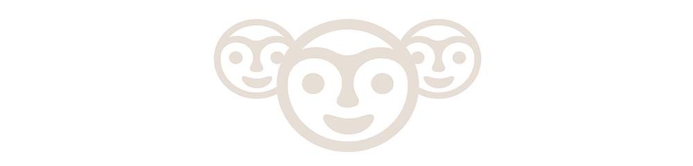 En-tête-page-Equipes-organisations